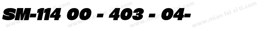 SM-114 00 - 403 - 04字体转换
